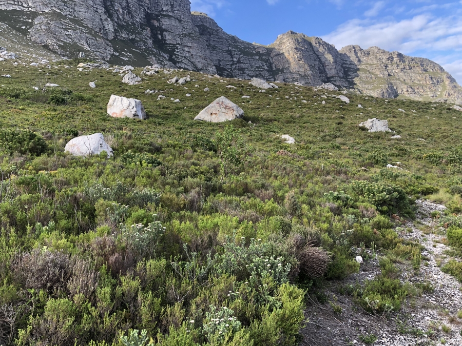 0 Bedroom Property for Sale in Sunny Seas Estate Western Cape